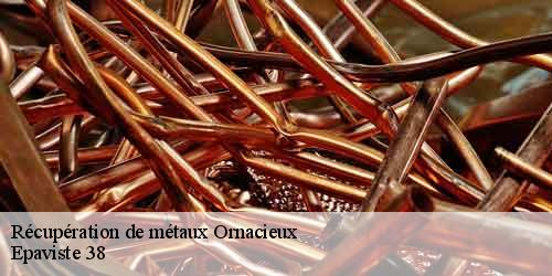 Récupération de métaux ornacieux-38260 Epaviste 38