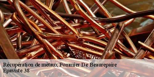 Récupération de métaux  pommier-de-beaurepaire-38260 Epaviste 38