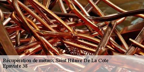 Récupération de métaux  saint-hilaire-de-la-cote-38260 Epaviste 38