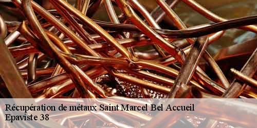 Récupération de métaux  saint-marcel-bel-accueil-38080 Epaviste 38