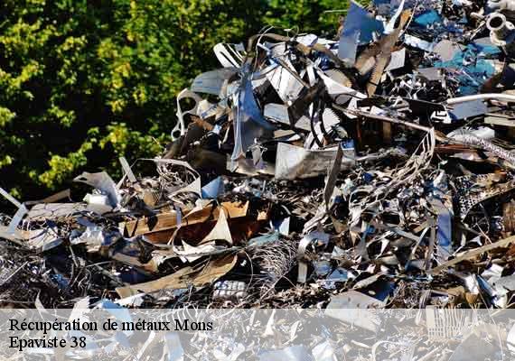 Récupération de métaux mons-38280 Epaviste 38